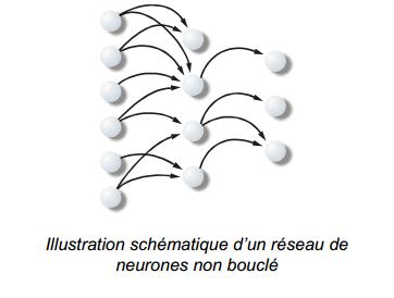 photo réseau de neurones